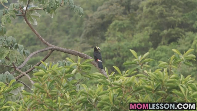 MILF Bianca and stepdaughter Julia get into a hot threesome_main_thumbnail