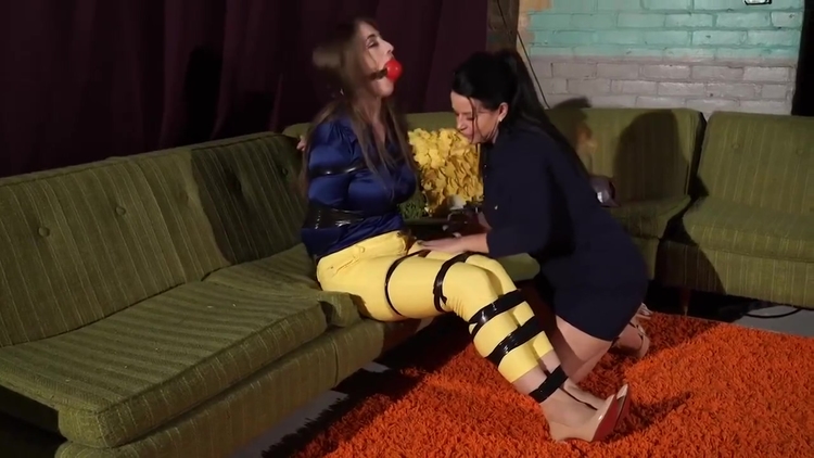 Colourful Terra_main_thumbnail