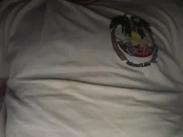 D'panettone live cam