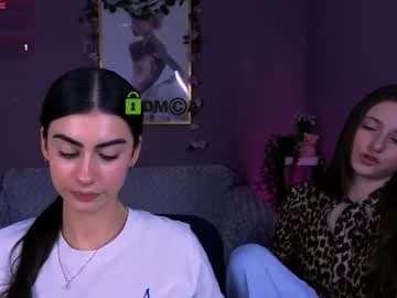 a little mouse live cam