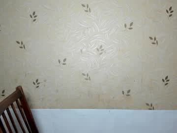 NicoleDavis live cam