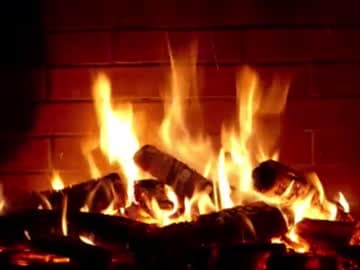 Gina & Jimmy live cam